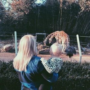 Meet your Posher, Shelby